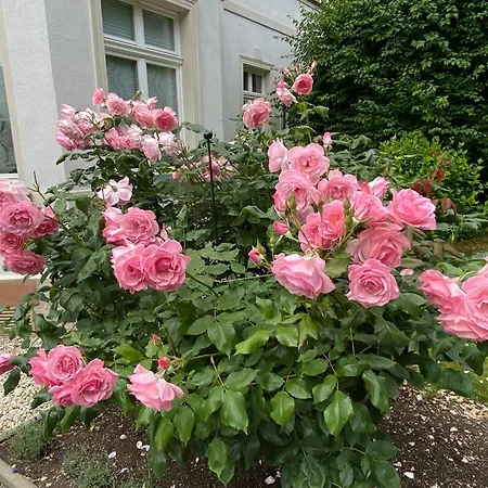 Appartement Am Buergergarten By Interhome