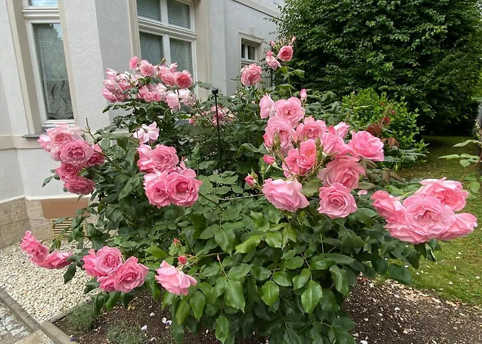 Lägenhet Am Buergergarten By Interhome